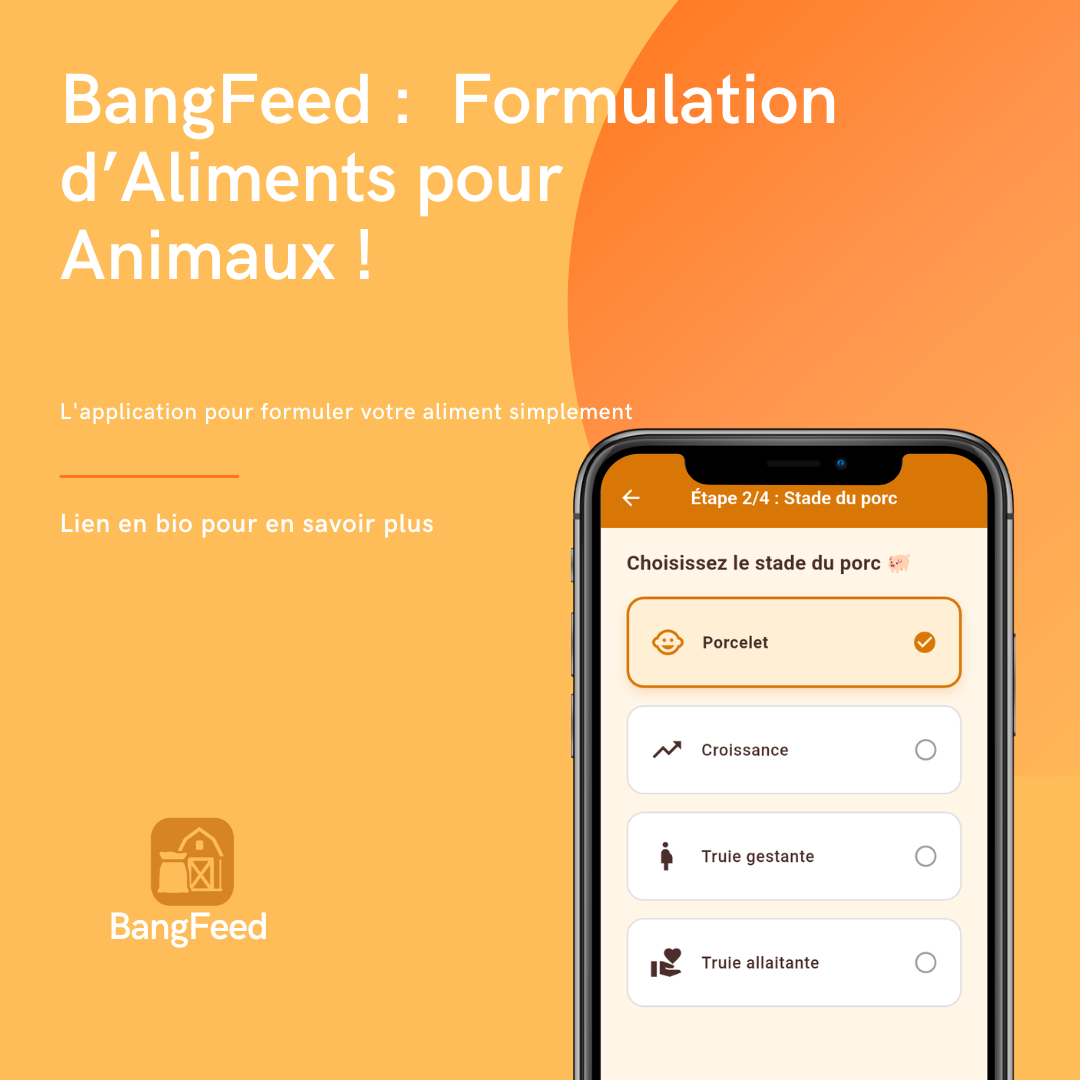 bangfeed-agtech