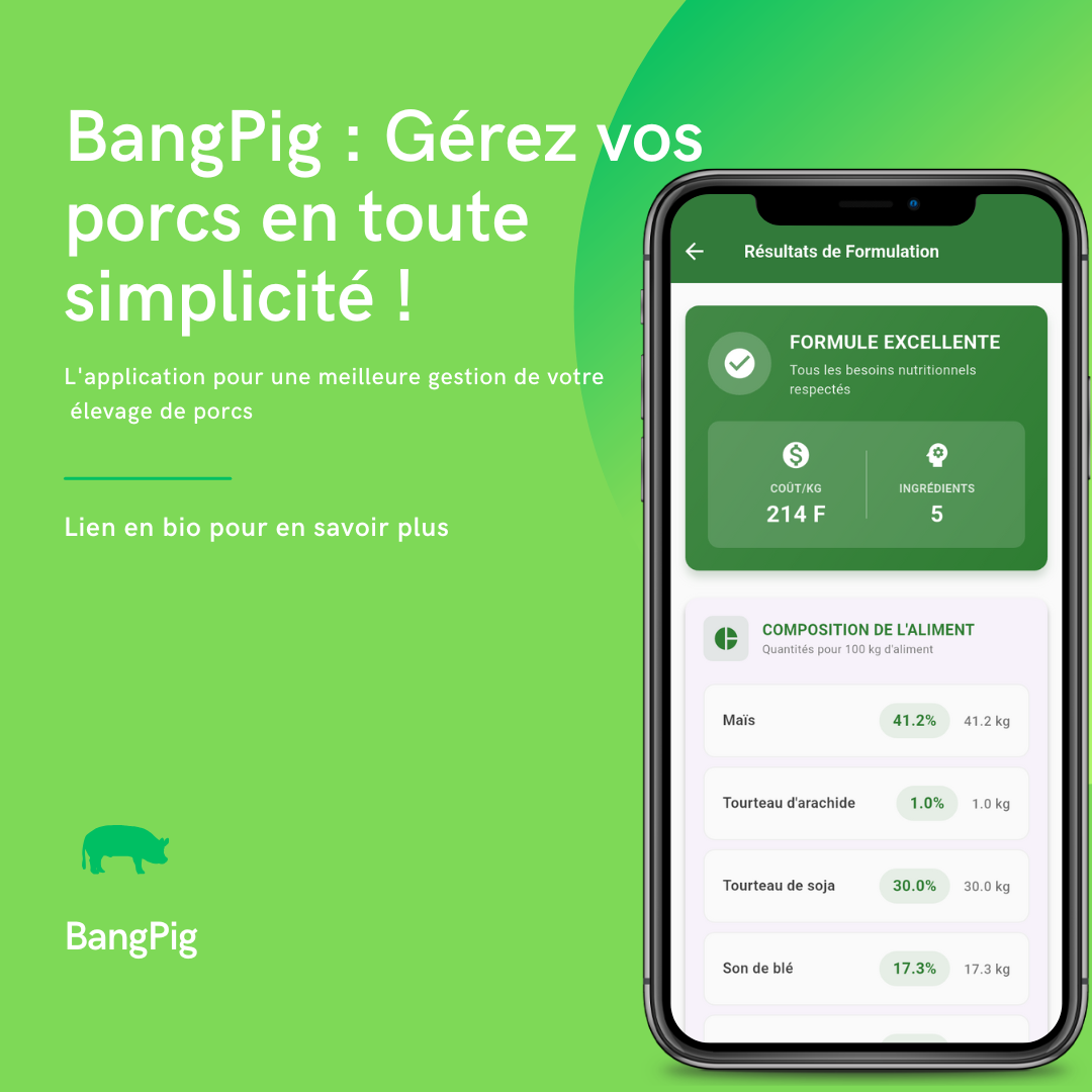 bangpig-agtech
