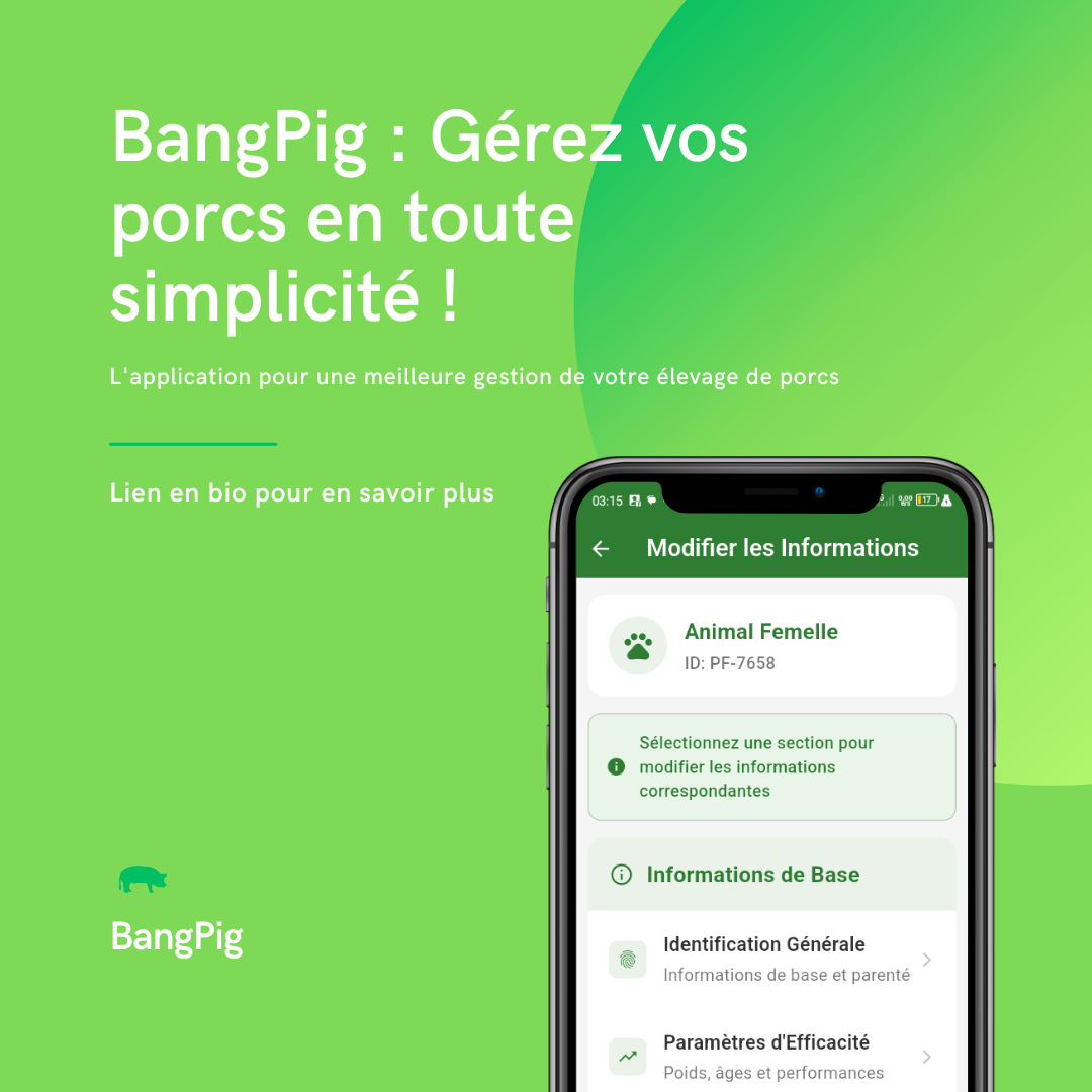 bangpig-agtech