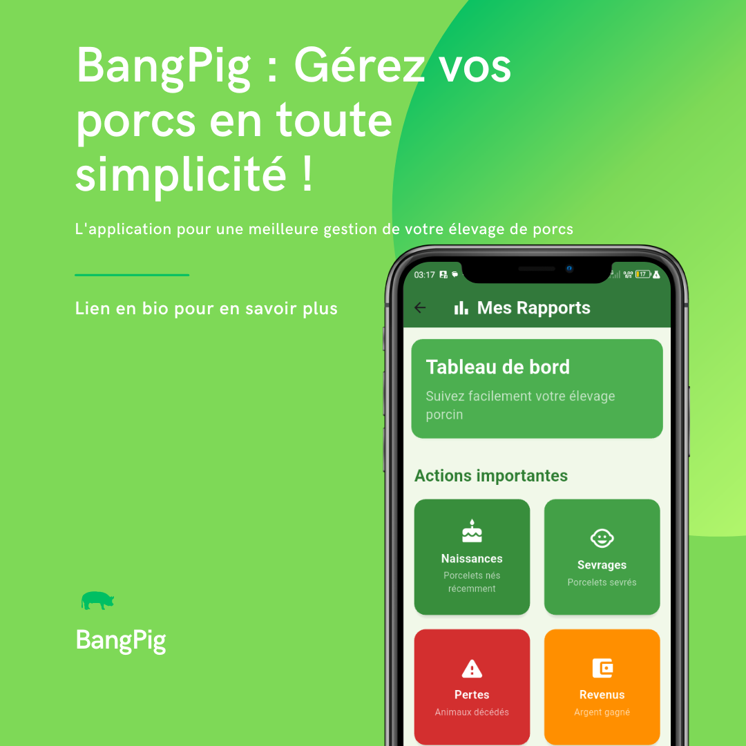 bangpig-agtech