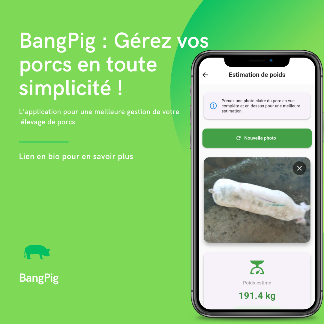 bangpig-agtech